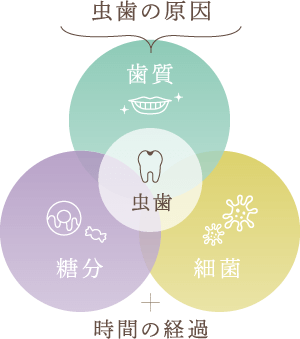 虫歯の原因と進行について