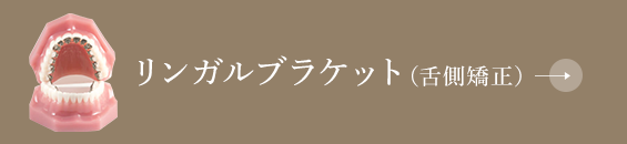 リンガルブラケット（舌側矯正）