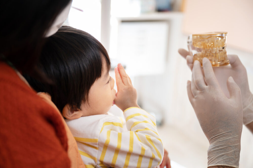 歯の模型を使って子供に説明する歯科医師